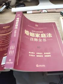 中华人民共和国婚姻家庭法注释全书（05）    平装