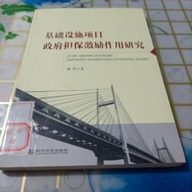 基础设施项目政府担保激励作用研究