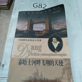 当艺术遇上大师丛书‘；泰晤士河畔飞翔的天使’