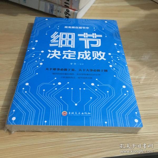 细节决定成败 你的细节决定你的成败 小故事大道理 学会思维信仰成功励志学人生感悟哲理鸡汤 做好细节做事细心成功励志书籍 为人处事人生智慧管理书籍心理学