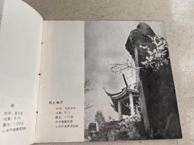 吴中行艺术摄影集.