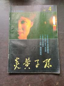 【期刊杂志】炎黄子孙1988.4