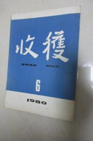 收获1980.6