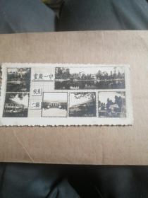 照片式贺年片(重庆一中)