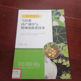 马铃薯高产栽培与机械化收获技术