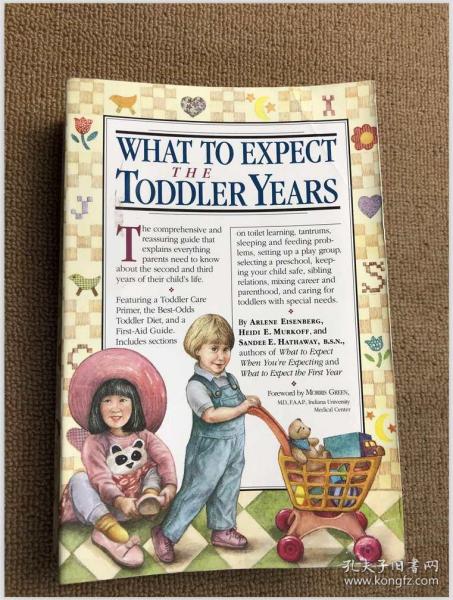 What to Expect The Toddler Years