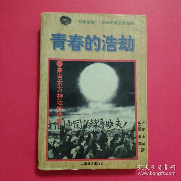 青春的浩劫:来自东方神坛的档案