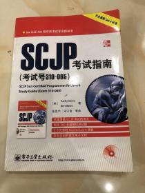 Sun认证Java程序员考试专业指导书：SCJP考试指南（考试号310-065）