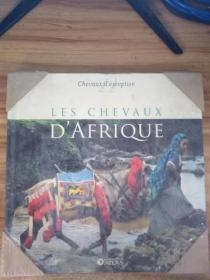 LES CHEVAUX D' AFRIUE