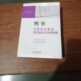 刑事法律规范集成典型案例与疑难精解