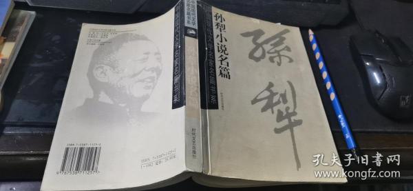 中国当代作家选集丛书：孙犁  大32开本