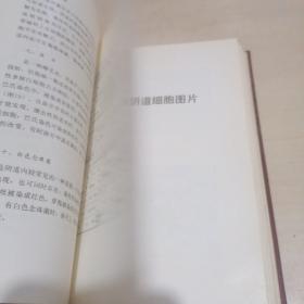 阴道细胞学图谱