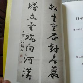 大成拳法要——基础篇（大成拳名家于鸿坤讲述拳学真意，讲授如何回到王芗斋老先生最初对大成拳的阐释。）