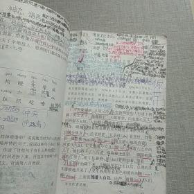 语文 第九册 九年义务教育六年制小学教科书