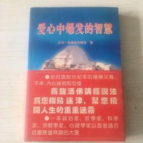 爱心中爆发的智慧:增订本