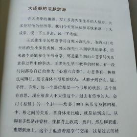 大成拳法要——基础篇（大成拳名家于鸿坤讲述拳学真意，讲授如何回到王芗斋老先生最初对大成拳的阐释。）