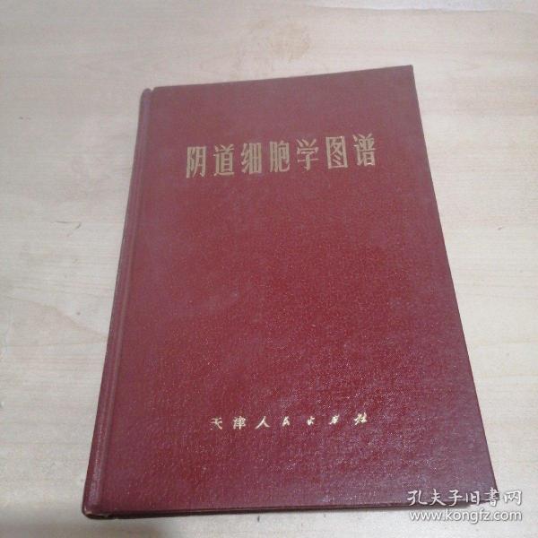 阴道细胞学图谱