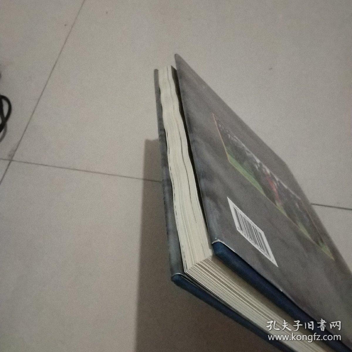 中国首都监狱:[中英文本]