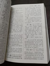 汉字简繁体正异体辨析词典