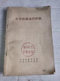 甲4-115,1958年1版1印《小学体操动作图解》内有平衡木，体操棒，跳短绳，徒手操，儿童广播体操，小皮球练习等图解。掖县仓上崔家用学，32开