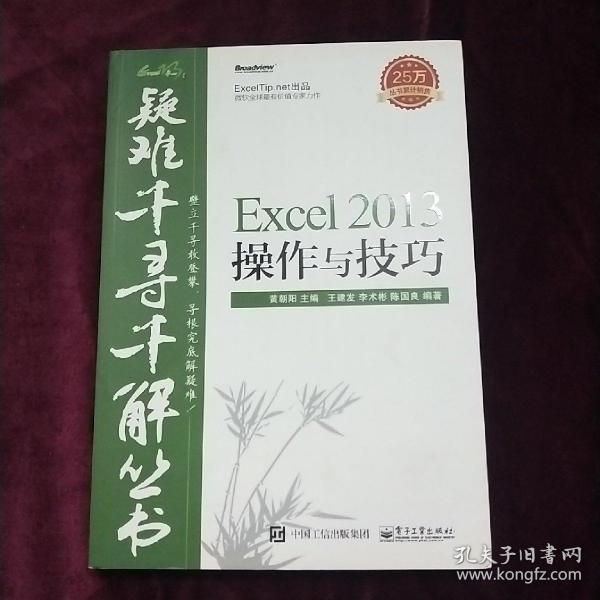 疑难千寻千解丛书 Excel 2013操作与技巧