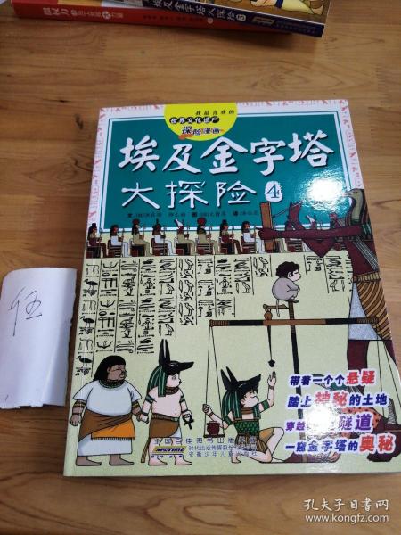 我最喜欢的世界文化遗产探险漫画 埃及金字塔大探险4