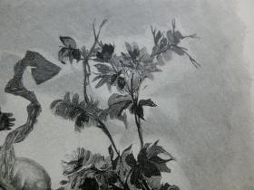【百元包邮】1891年《天使的四季：春和夏》（Die Jahreszeiten）木刻版画 纸张尺寸约41×28厘米 （货号603244）