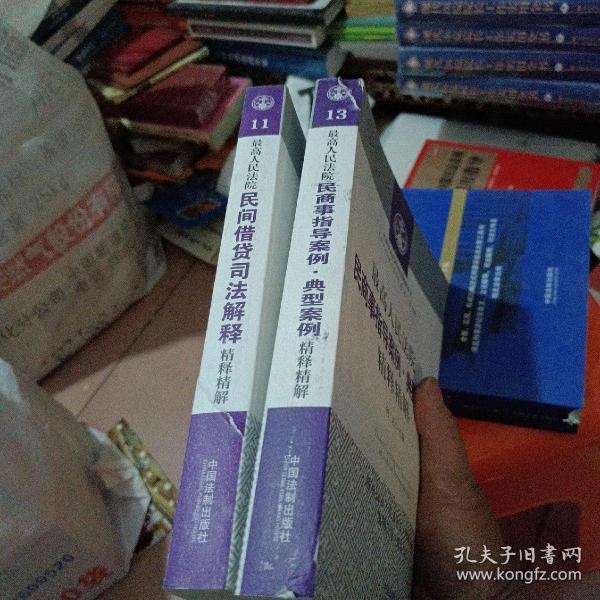 最高人民法院民商事指导案例 典型案例精释精解（第11一13册）