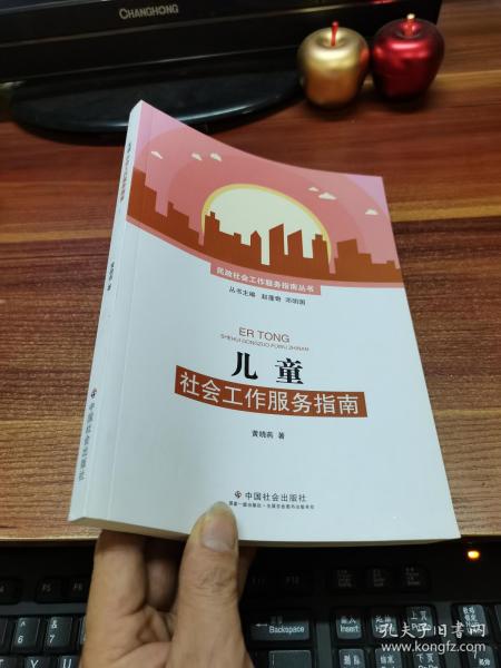 儿童社会工作服务指南/民政社会工作服务指南丛书