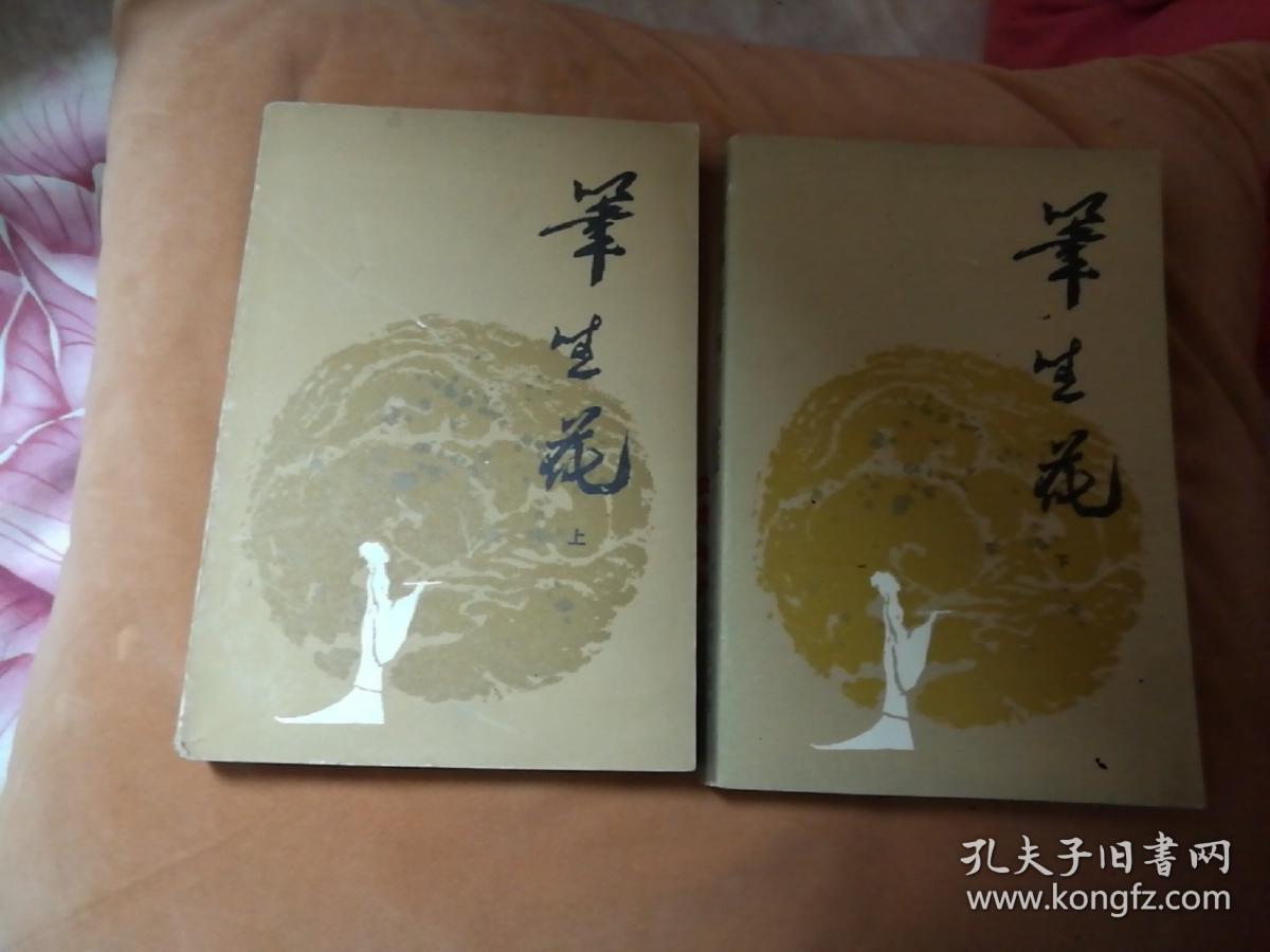 笔生花 上下全