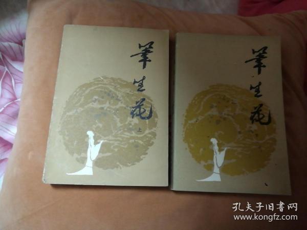 笔生花 上下全