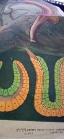 1961年初级中学动物学教学挂图腔肠动物门