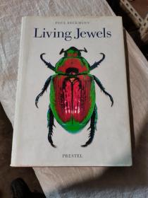 Living Jewels (2001)：The Natural Design of Beetles