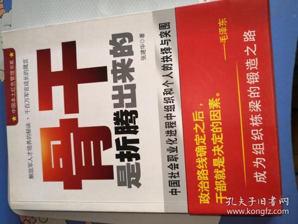 骨干是折腾出来的—中国社会职业化进程中组织和个人的抉择与突围》经典营销著作！