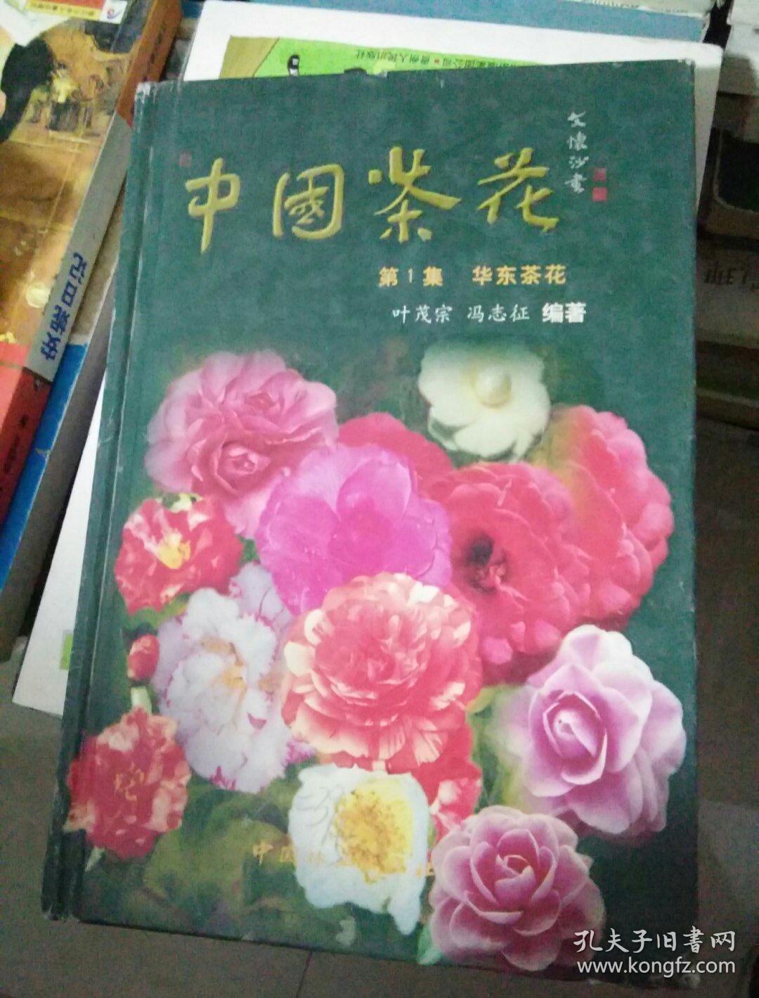 中国茶花第1集.华东茶花