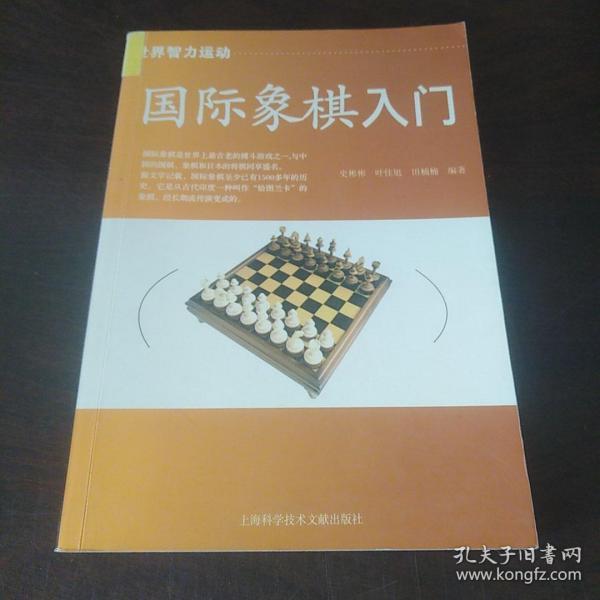 国际象棋入门