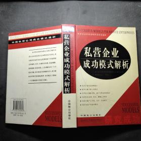 私营企业成功模式解析