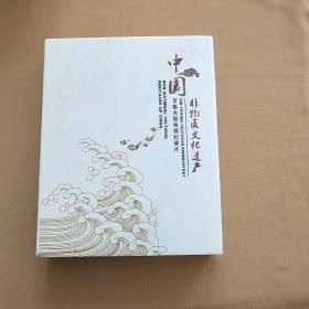中国非物质文化遗产（百集大型电视纪录片）【光盘20张】 全新未开封