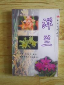 FLX26 名花巧种丛书：洋兰（2000年1版1印、私藏品好）