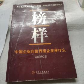 榜样：中国企业向世界级企业学什么