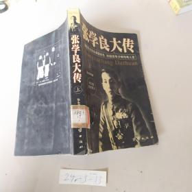 张学良大传 上