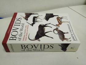 Bovids of the World