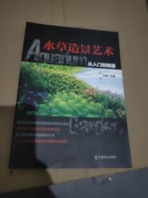 水草造景艺术：从入门到精通