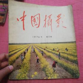 中国摄影1976.2，封皮小撕口，其余完整，铅笔画可蹭掉