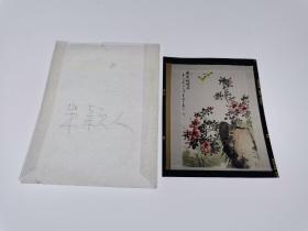 5.9彩色反转片～朱颖人～国画作品底片一张