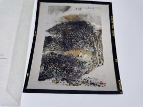 5.9彩色反转片～金家骥～国画作品底片一张