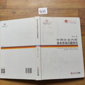 同济博士论丛——中国企业内部资本市场问题研究