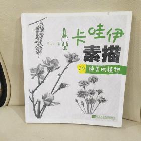 卡哇伊素描：24种美丽植物