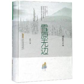 雪原无边