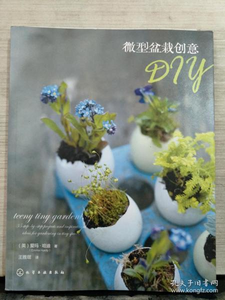 微型盆栽创意DIY